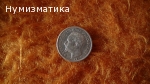 50 ст. 1891 г.