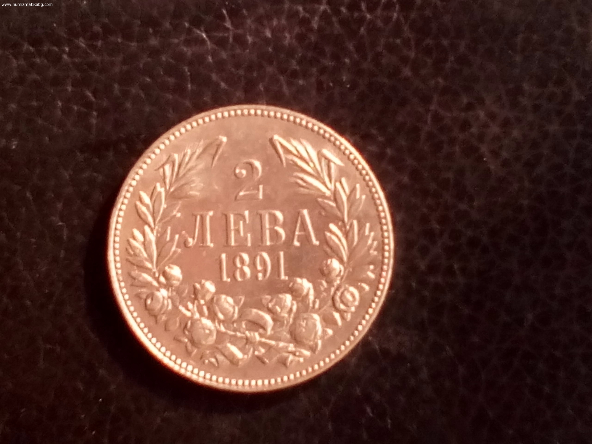 Два лева 1891